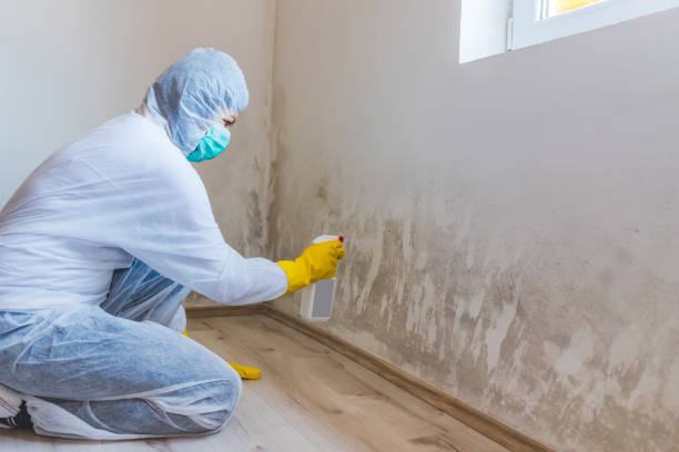 Commercial Mold Remediation assessment for commercial property in New Milford