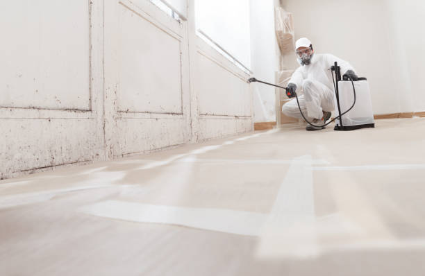 Black mold remediation team in New Milford